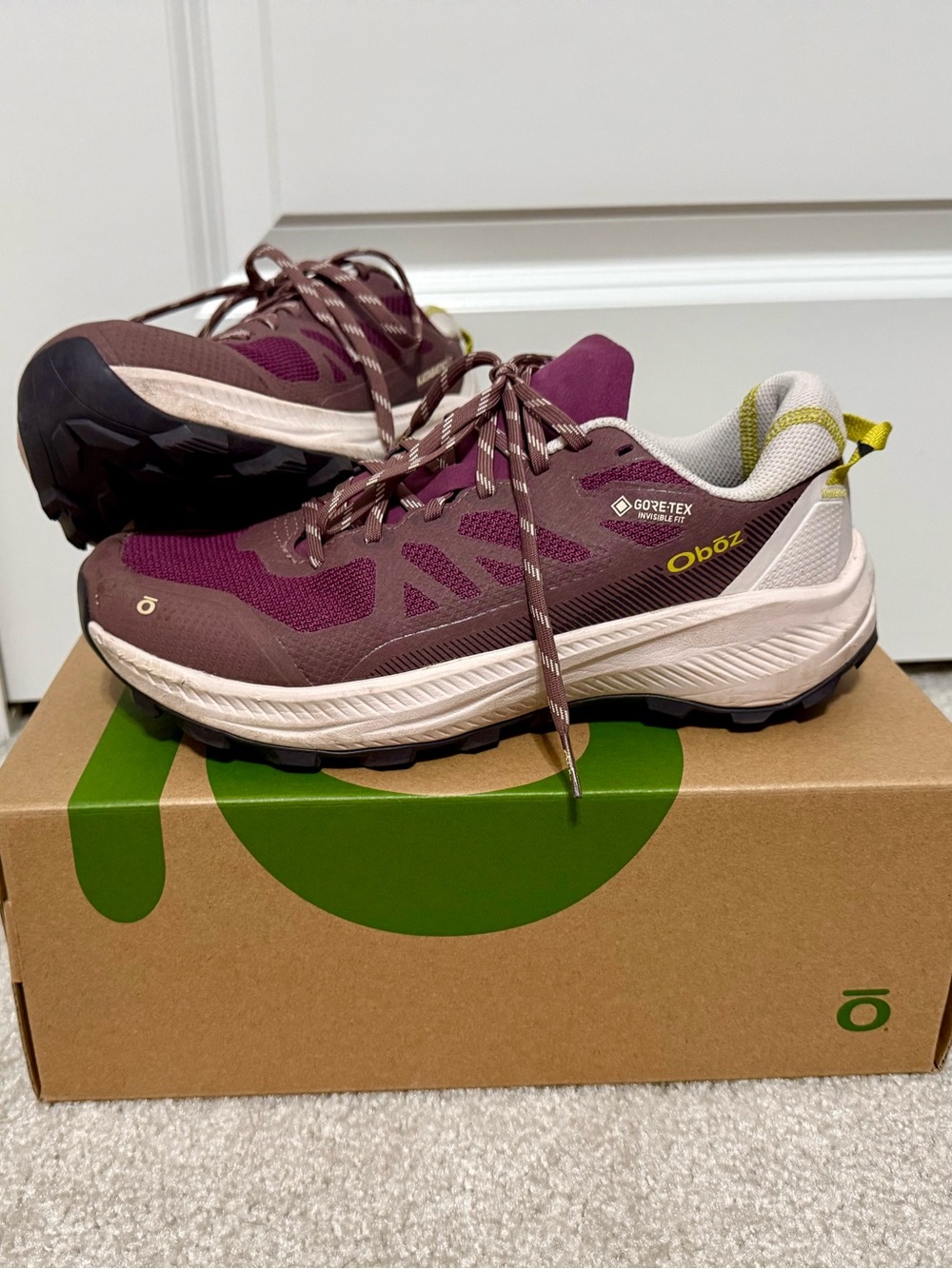Oboz Women's Katabatic LT Hiking/Trail Running Shoes - waterproof Gore-Tex
